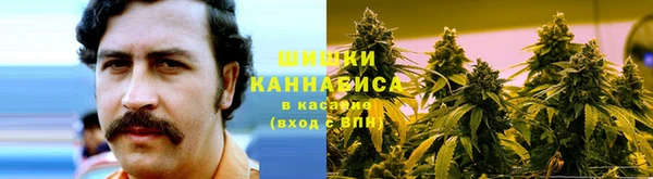 мет Аркадак